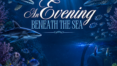 Image for: Evening Beneath the Sea